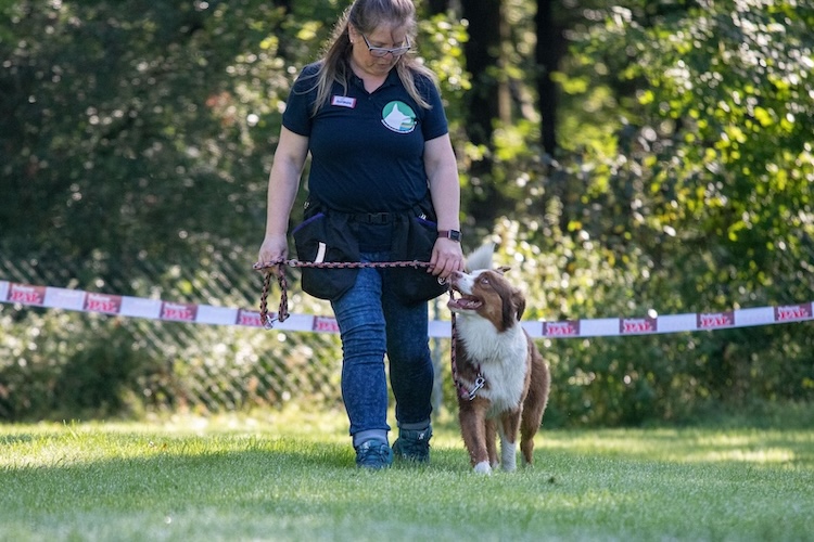 2025-02-25-Social-Walk