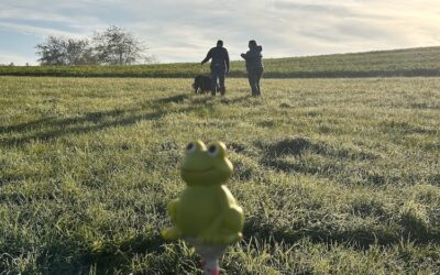 Unterordnung und Fährte – Seminar im SV OG Bergneustadt mit Cornelia Zwahlen
