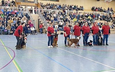 Sportabend 2024 – Hundeshow voller Erfolg