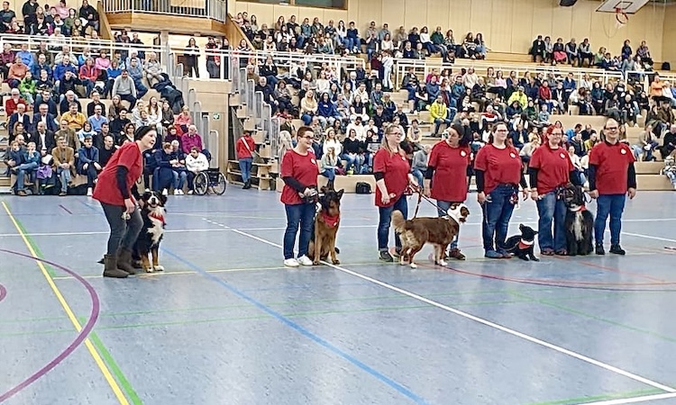 2024-11-26-Hundeshow-10