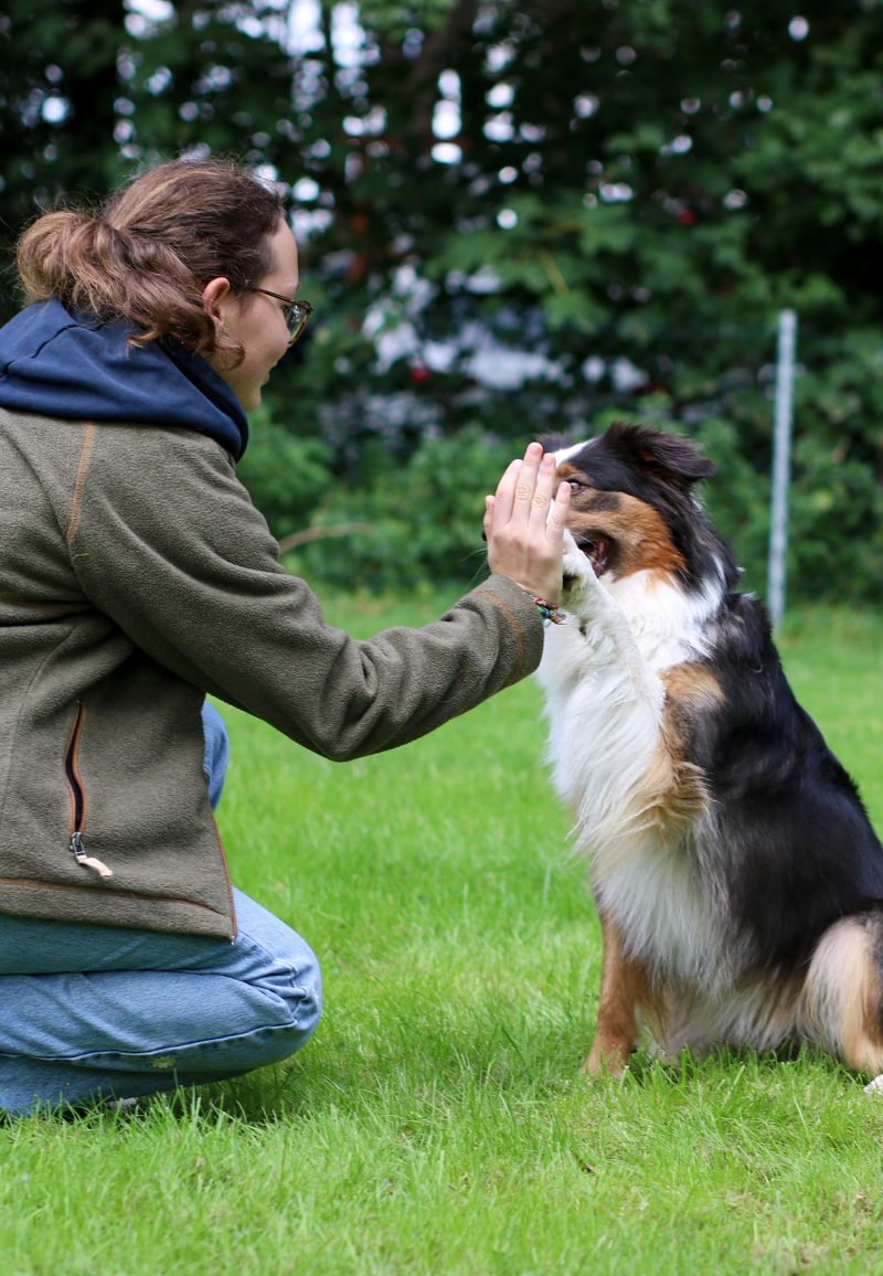 Schaeferhundeverein_OG_Bergneustadt_Hundeplatz