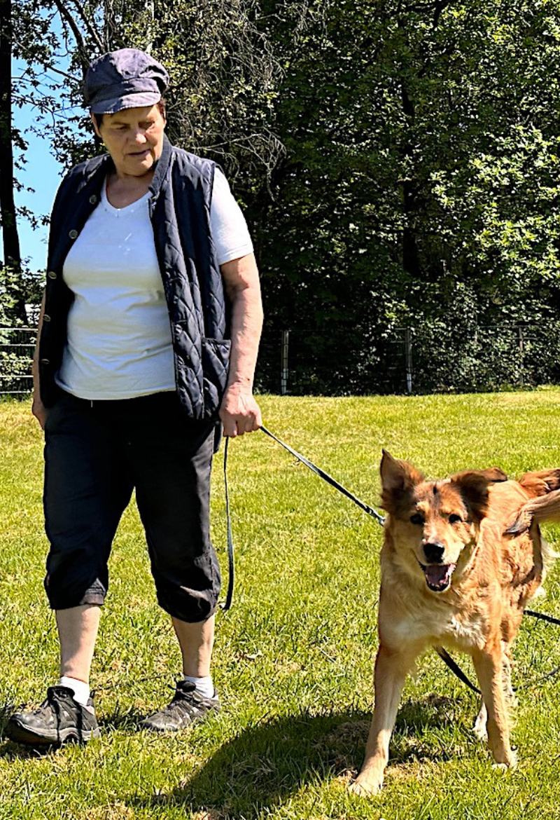 Schaeferhundeverein_OG_Bergneustadt_Verein_3